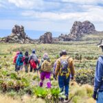 Hiking Outdoor Gear Hub
