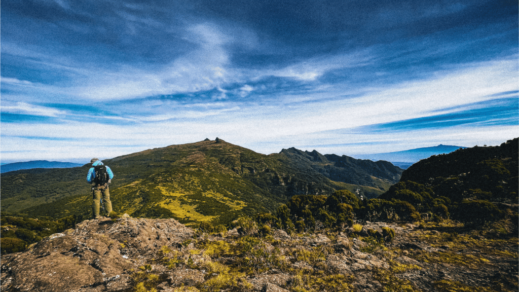 elephant hill day hike
