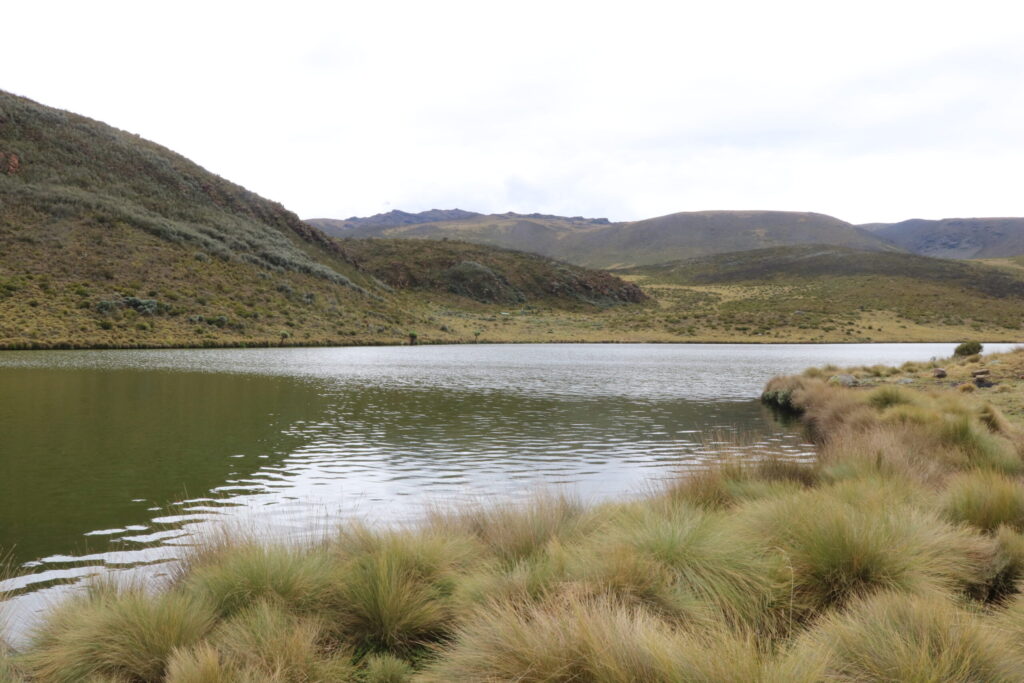 lake ellis hiking mt kenya