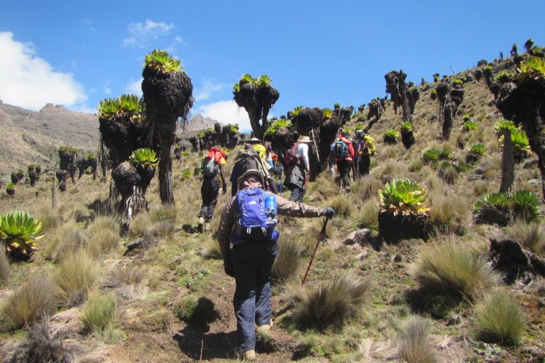 hiking mt kenya