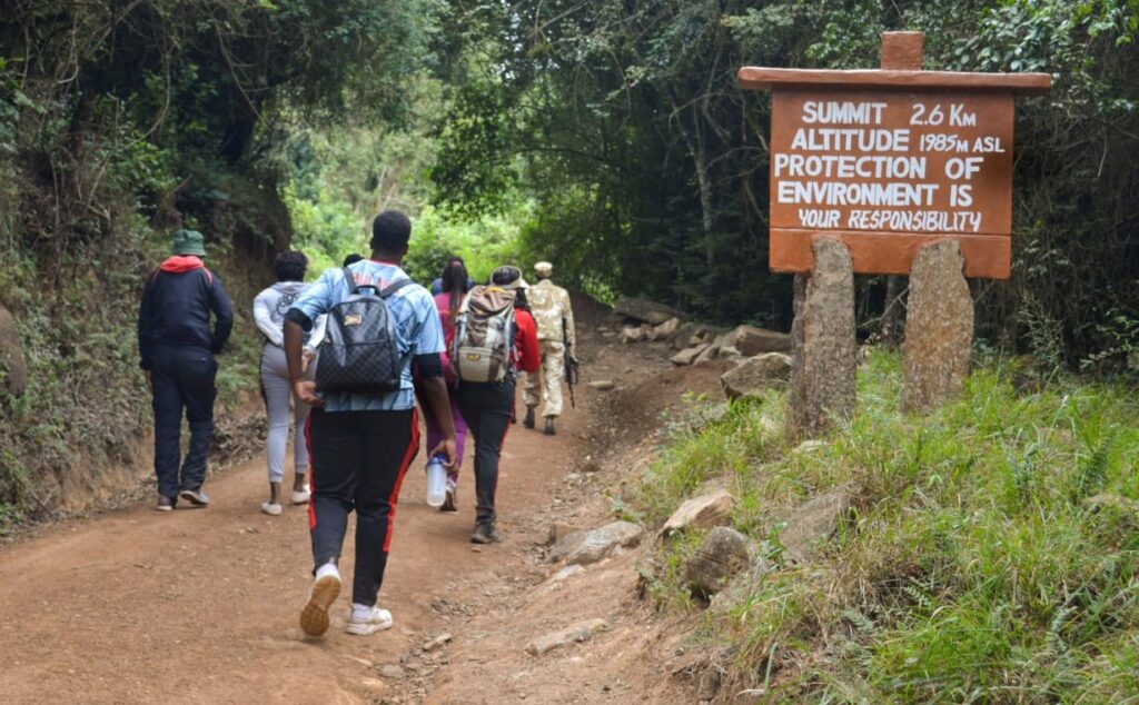 mt kilimambogo day hike